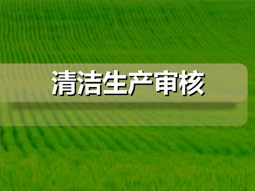 重点清洁生产审核企业公示信息表